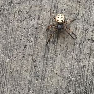 Meet your Posher, Kendrick